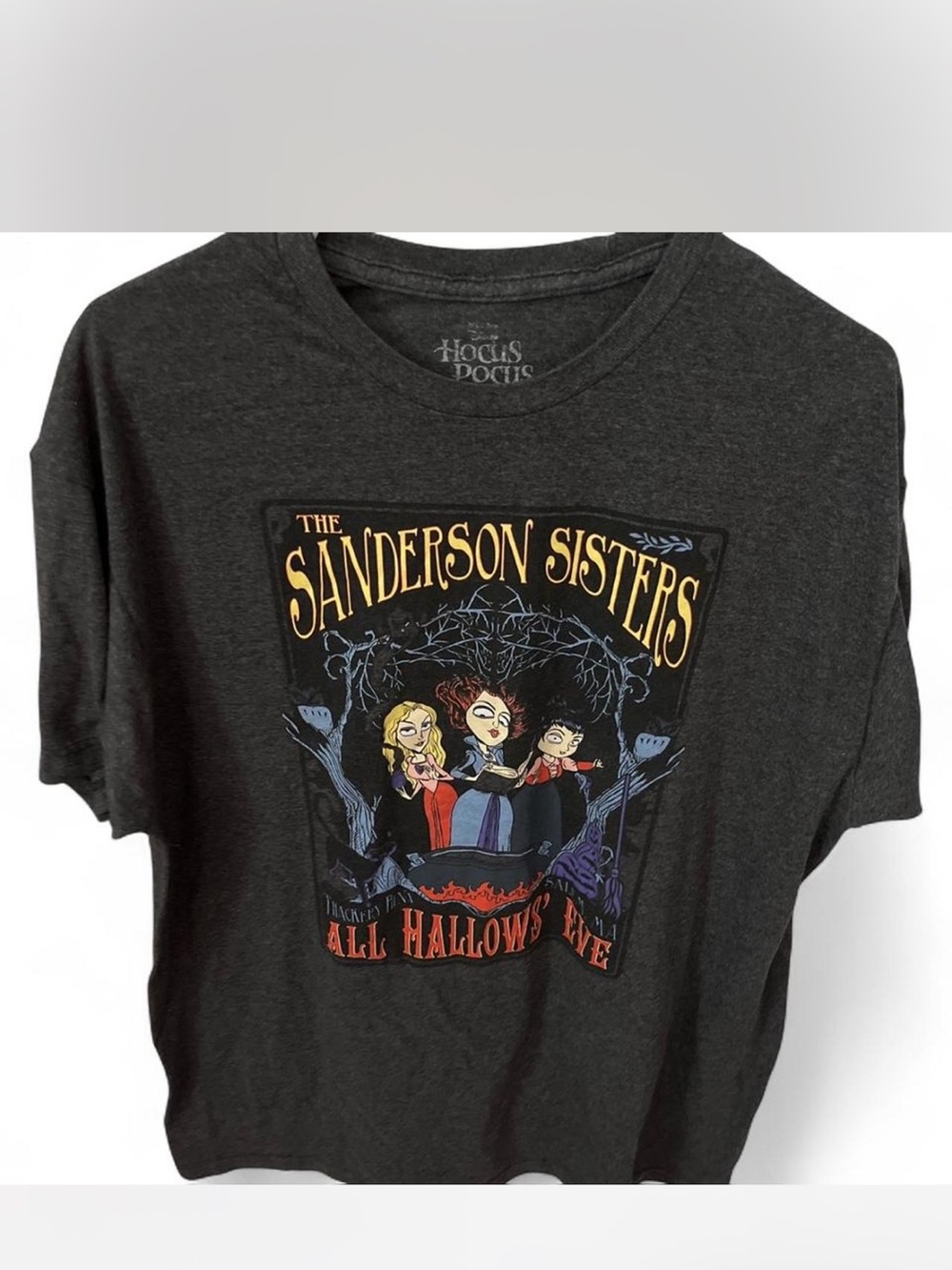 Disney Sanderson Sisters Graphic Tee - Charcoal with Yellow, Red, Blue Accents
